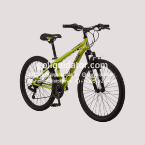 Mercancía en general proveniente de Meijer, por contenedor