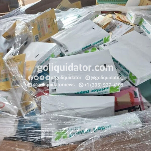 Lote de artículos escolares en liquidación al por mayor.