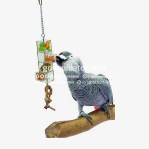 Camión con artículos para mascotas de Chewy.com