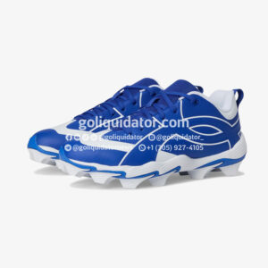 Lote de zapatillas y articulos deportivos