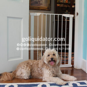 Lotes de artículos para mascotas de Chewy.com